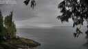 ./images/koeye/fitz-hugh/20250617/fitz-hugh20250617_123010M.jpg