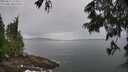 ./images/koeye/fitz-hugh/20250617/fitz-hugh20250617_124511M.jpg