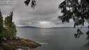 ./images/koeye/fitz-hugh/20250617/fitz-hugh20250617_130013M.jpg