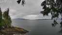 ./images/koeye/fitz-hugh/20250617/fitz-hugh20250617_130510M.jpg