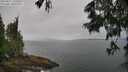./images/koeye/fitz-hugh/20250617/fitz-hugh20250617_131010M.jpg
