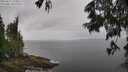 ./images/koeye/fitz-hugh/20250617/fitz-hugh20250617_133011M.jpg