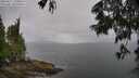 ./images/koeye/fitz-hugh/20250617/fitz-hugh20250617_134010M.jpg