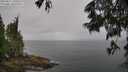 ./images/koeye/fitz-hugh/20250617/fitz-hugh20250617_135509M.jpg