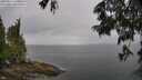 ./images/koeye/fitz-hugh/20250617/fitz-hugh20250617_140011M.jpg