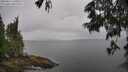 ./images/koeye/fitz-hugh/20250617/fitz-hugh20250617_140509M.jpg