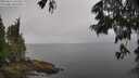 ./images/koeye/fitz-hugh/20250617/fitz-hugh20250617_141511M.jpg