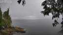 ./images/koeye/fitz-hugh/20250617/fitz-hugh20250617_142509M.jpg
