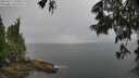 ./images/koeye/fitz-hugh/20250617/fitz-hugh20250617_143012M.jpg