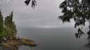 ./images/koeye/fitz-hugh/20250617/fitz-hugh20250617_145008M.jpg