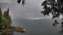 ./images/koeye/fitz-hugh/20250617/fitz-hugh20250617_145510M.jpg