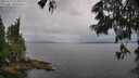 ./images/koeye/fitz-hugh/20250617/fitz-hugh20250617_155009M.jpg