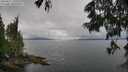 ./images/koeye/fitz-hugh/20250617/fitz-hugh20250617_155510M.jpg