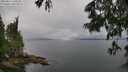 ./images/koeye/fitz-hugh/20250617/fitz-hugh20250617_160510M.jpg