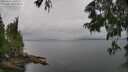 ./images/koeye/fitz-hugh/20250617/fitz-hugh20250617_161009M.jpg