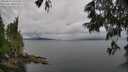 ./images/koeye/fitz-hugh/20250617/fitz-hugh20250617_162510M.jpg