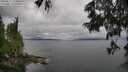 ./images/koeye/fitz-hugh/20250617/fitz-hugh20250617_163010M.jpg