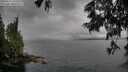 ./images/koeye/fitz-hugh/20250617/fitz-hugh20250617_165510M.jpg