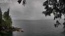 ./images/koeye/fitz-hugh/20250617/fitz-hugh20250617_170011M.jpg