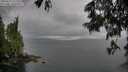 ./images/koeye/fitz-hugh/20250617/fitz-hugh20250617_171511M.jpg