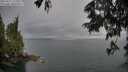 ./images/koeye/fitz-hugh/20250617/fitz-hugh20250617_175011M.jpg