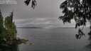 ./images/koeye/fitz-hugh/20250617/fitz-hugh20250617_175510M.jpg