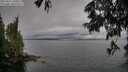 ./images/koeye/fitz-hugh/20250617/fitz-hugh20250617_180014M.jpg
