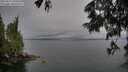 ./images/koeye/fitz-hugh/20250617/fitz-hugh20250617_180510M.jpg