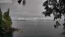 ./images/koeye/fitz-hugh/20250617/fitz-hugh20250617_181511M.jpg