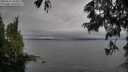 ./images/koeye/fitz-hugh/20250617/fitz-hugh20250617_183011M.jpg