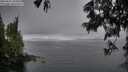 ./images/koeye/fitz-hugh/20250617/fitz-hugh20250617_184510M.jpg