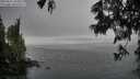 ./images/koeye/fitz-hugh/20250617/fitz-hugh20250617_185011M.jpg