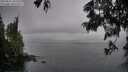 ./images/koeye/fitz-hugh/20250617/fitz-hugh20250617_185510M.jpg