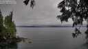./images/koeye/fitz-hugh/20250617/fitz-hugh20250617_192509M.jpg