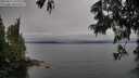 ./images/koeye/fitz-hugh/20250617/fitz-hugh20250617_193006M.jpg
