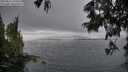 ./images/koeye/fitz-hugh/20250617/fitz-hugh20250617_194509M.jpg