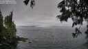 ./images/koeye/fitz-hugh/20250617/fitz-hugh20250617_195508M.jpg