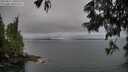 ./images/koeye/fitz-hugh/20250617/fitz-hugh20250617_200508M.jpg