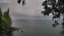 ./images/koeye/fitz-hugh/20250617/fitz-hugh20250617_202009M.jpg