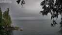./images/koeye/fitz-hugh/20250617/fitz-hugh20250617_202509M.jpg
