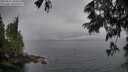 ./images/koeye/fitz-hugh/20250617/fitz-hugh20250617_204509M.jpg