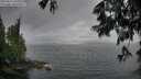 ./images/koeye/fitz-hugh/20250617/fitz-hugh20250617_211008M.jpg