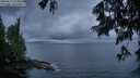 ./images/koeye/fitz-hugh/20250617/fitz-hugh20250617_215010M.jpg