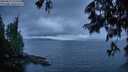 ./images/koeye/fitz-hugh/20250617/fitz-hugh20250617_215507M.jpg