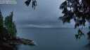 ./images/koeye/fitz-hugh/20250617/fitz-hugh20250617_221009M.jpg