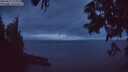 ./images/koeye/fitz-hugh/20250617/fitz-hugh20250617_223010M.jpg