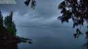 ./images/koeye/fitz-hugh/20250618/fitz-hugh20250618_045008M.jpg