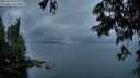 ./images/koeye/fitz-hugh/20250618/fitz-hugh20250618_050009M.jpg