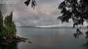 ./images/koeye/fitz-hugh/20250618/fitz-hugh20250618_055508M.jpg