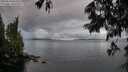 ./images/koeye/fitz-hugh/20250618/fitz-hugh20250618_060510M.jpg